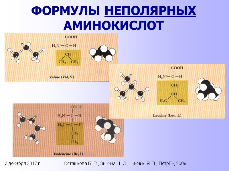 13 декабря 2017 г. Осташкова В. В., Зыкина Н. С., Нижник Я. П., ПетрГУ,